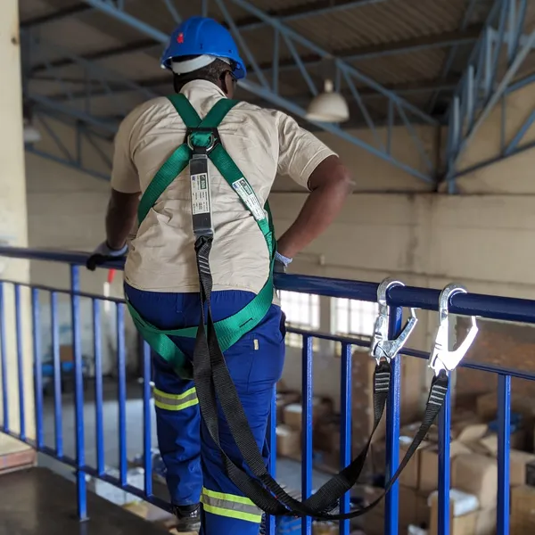 Bova 2-POINT PRO HARNESS